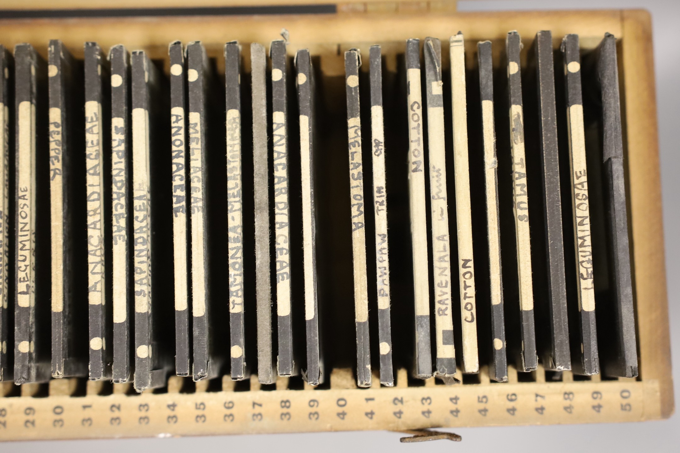 Approx 150 monochrome photographic glass slides, mainly botanical and Caribbean agricultural scenes.